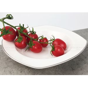 Luxury New Bone Elegant Dinnerware Sets Custom Rectangular Dinnerware Sets