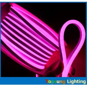 24v/12v rgb led light 8.5*17mm size neon flex light with ce rohs ul certificatio