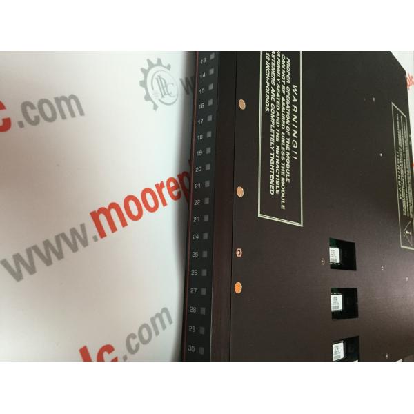 Triconex DCS Module 9753-110 1700X600 100PLINTH+1200EQUIP+400ROOF High