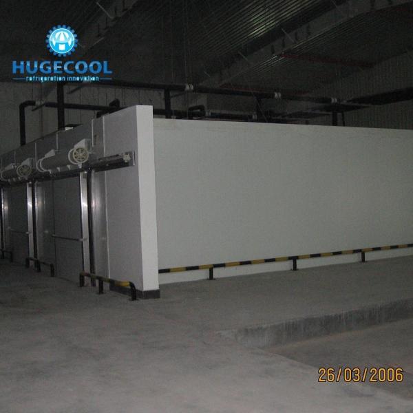 Quality Customization Customized Cold Room Chiller/Cooler/Freezer Room with Sandwich PU Panel wholesale