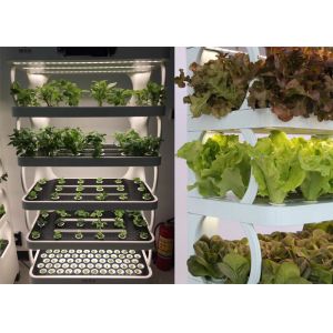 Intelligent Indoor Hydroponic Greenhouse Fodder Container Growing System