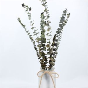 Modernization Style Preserved Foliage Green Environmental Protection