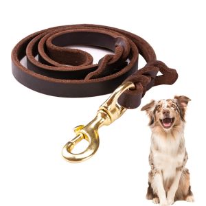 China Braided Custom Running Training Genuine Leather Dog Leash For Medium Puppy Dog on sale