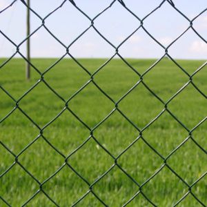 Galvanized chain link fence panels/Cyclone Fence,2.4mx10mx50x50mmx2.5mm