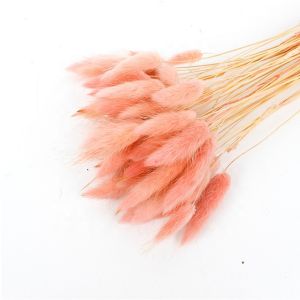 Customized Color Eternal Beautiful Dried Flowers Rabbit Tail Grass Lagurus