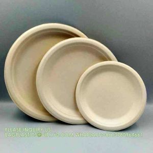 Compostable Sugarcane Bagasse Paper Round Plates 9 Inch 9" Greaseproof And