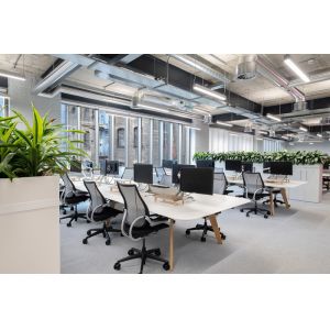 LANGFANG PALM TREE ART AND CRAFTS CO., LTD.