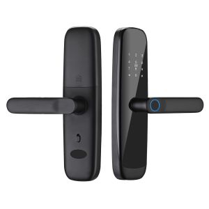 China Office / School Tuya APP Smart Lock Fingerprint Electronic Door Lock on sale