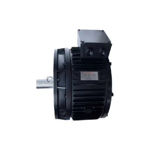 High Torque Low Speed Direct Drive AC BLDC Motor For Heavy Duty Applications