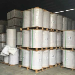 Small Roll High Quality Release Paper Coated Paper/Silicone Paper Jumbo Roll/Pe