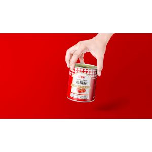 Concentrated Tomato Sauce Processing Line 10T/Hr Capacity