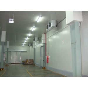 Home Using Solar Energy 18 Feet Container Cold Storage Room with Curtain