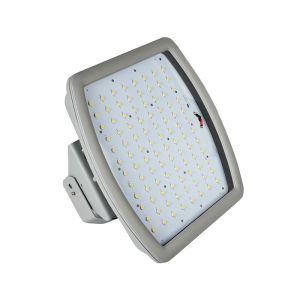 Cheap ATEX Meanwell driver waterproof 100w led explosion proof flood light for sale