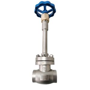Manual Cryogenic Globe Valve For Precise Control In Cryogenic