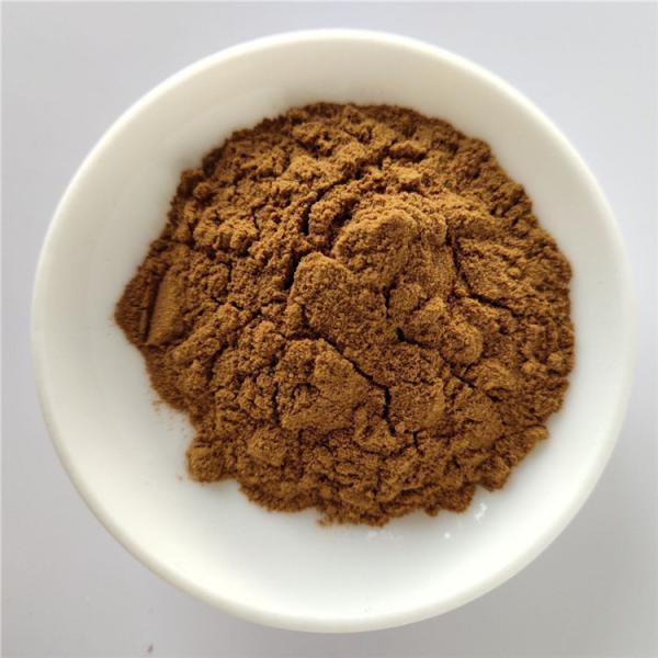 Quality Extract Herbal Herba Cynomorii For Tonifying Kidney wholesale