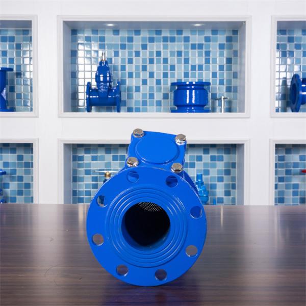 GGG50 Ductile Iron Y Strainer Drain Filter DN150 Flange Sewage Treatment