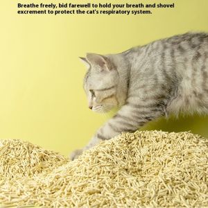 China Pet Accessories Supply Dust-Free Natural Plant Tofu Cat Litter Biodegradable Eco-Friendly Clumping Sand on sale