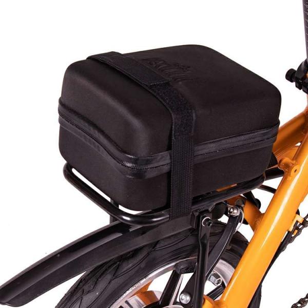 12 Inch Folding Electric Bike Lightest Battery 36v 250w Bicycles RICHBIT Teresa