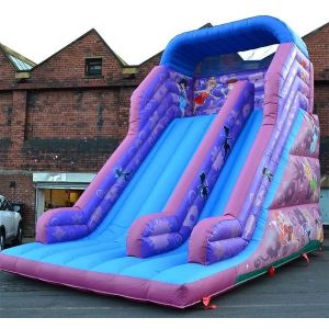 30ft Princess Inflatable Dry Slide , Faires Slide Purple Giant Bouncy Slide