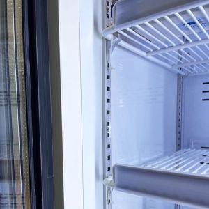 Frequency Conversion Commercial Glass Display Freezer With LED Light
