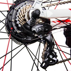 26" Folding Mountain Bike Electric Fat Tire Foldable 350w 48v RICH BIT 018