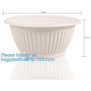 corn starch India curry bowl,Healthy corn starch biodegradable qualitier
