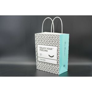 Twisted Handle Paper Bags Custom Recyclable Kraft Paper Gift Bags