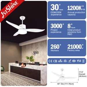 Modern Indoor Plastic Ceiling Fan With Light And Remote Control 6 Speed