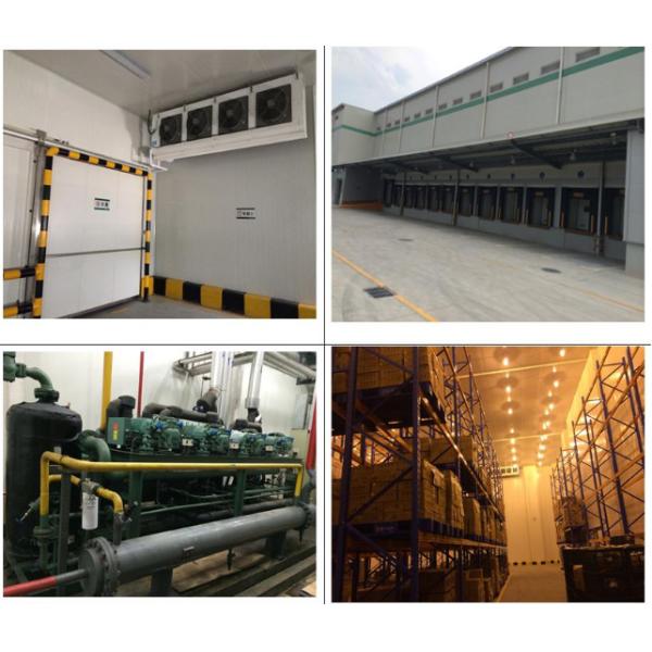 Pre Engineered Steel Structure Building Cold Steel Storage Warehouse Cold Room