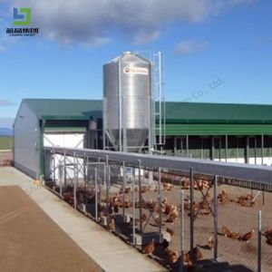 Prefabricated Low Cost Steel Structure Poultry House Construction Layer Cage