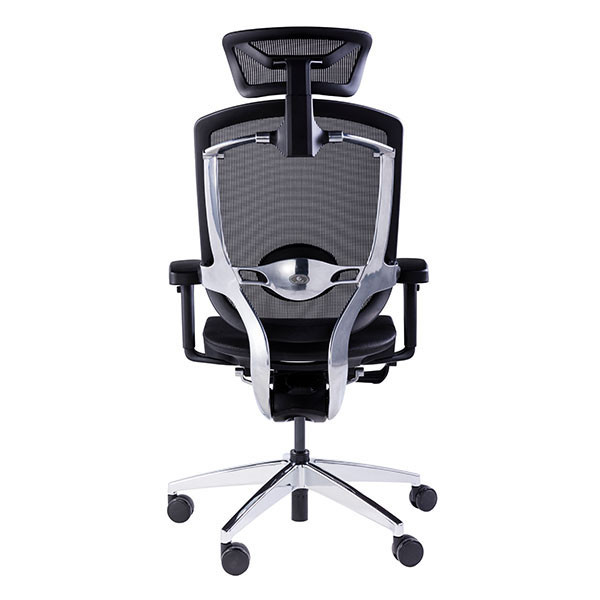 GTCHAIR Marrit X Lumbar Support Ergonomic Chair High Back Mesh Office Chair
