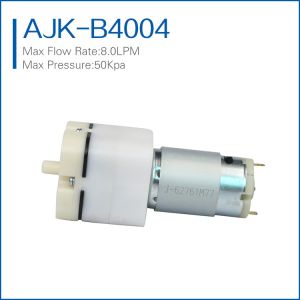 high flow micro automotive air pump