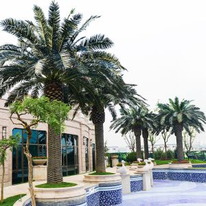 Artificial Date Palm Tree outdoor fake palm tree 10-20ft real touch leaves