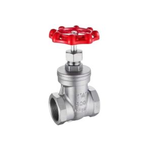 1/2" CF8/CF8m Stainless Steel Thread Ends Gate Valve for Water Treatment