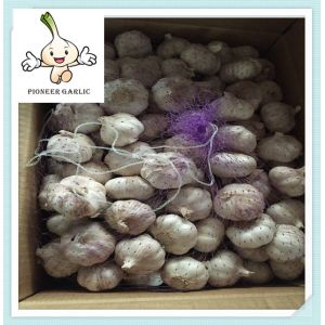 Cheap 2016 New Crop Fresh Garlic Exporting Chinese Garlic In Small Pack for sale