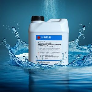 Polyacrylamide Flocculant Polyelectrolyte PAM Tailings Thickening And Water