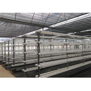 Vertical Automated Pvc Nft Hydroponics System Nft Hydroponic Farm