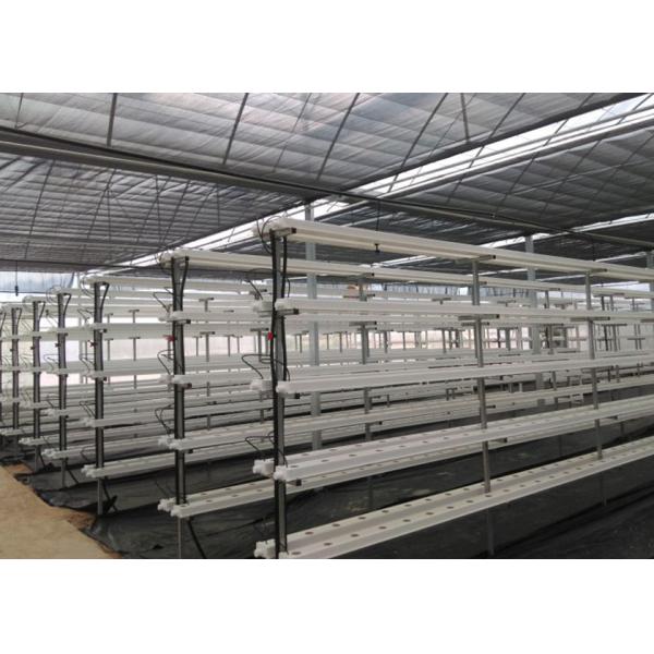 Quality Vertical Automated Pvc Nft Hydroponics System Nft Hydroponic Farm wholesale