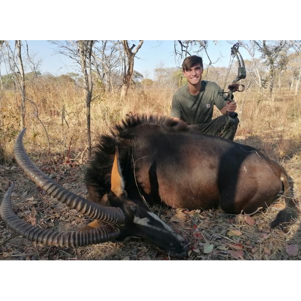 Hawkeye Penetration Carbon Hunting Arrows / Carbon Fiber Arrows Impact Resistance