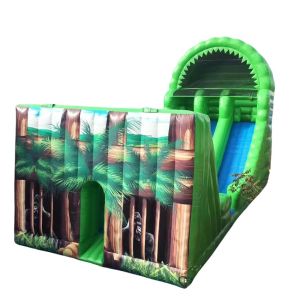 Customized Color Bouncy Castle Inflatable Slide for Max Capacity 100-500kg Water