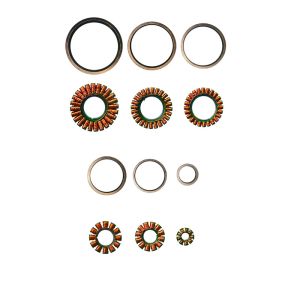 Faradyi Customized Bldc Iner Runner Frameless 300W Worm Gear Motor Ev-Complete