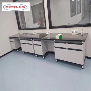 Customizable and Integrated Lab Wall Benches for Efficient Laboratories