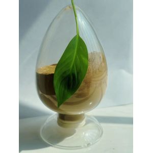 China 3804000090 Calcium Lignosulphonate Brown Powder Tanning In Leather on sale