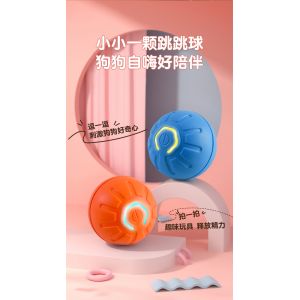 Interactive Pet Toy Balls - Stimulating and Engaging