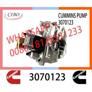 China New Neutral CCEC NT855 N14 CELECT Fuel Injection PT Pump 3059657 3042115 3060947  4076760 E494 3070123 on sale