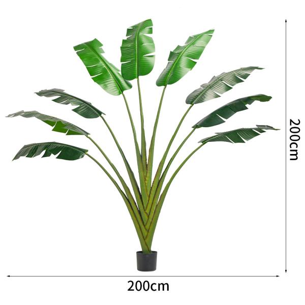 Quality 200cm Traveller'S Palm Artificial Landscape Trees For Low Maintenance Evergreen Plants wholesale