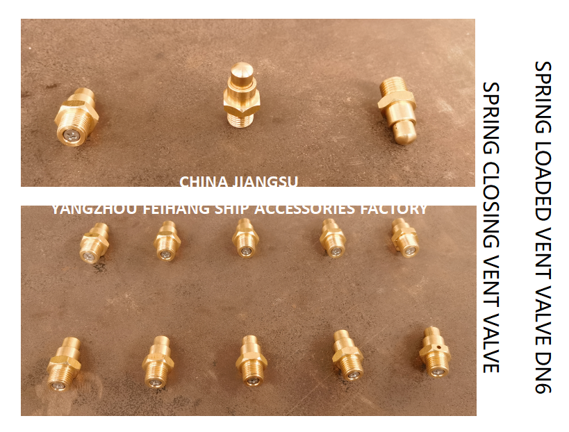 DN6 Spring Loaded Vent Valve with Threaded Ends Compliant with CB/T3778-1999