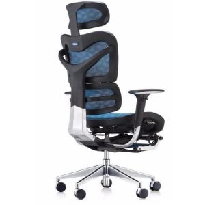 New Design Executive China Ergonomic Mesh Chair with Footrest