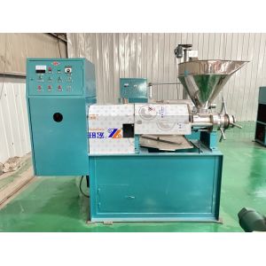 Customized Small Automatic Oil Press Machine For Home Use / 6YL-60