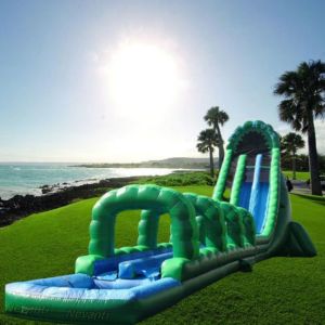 Bestseller Inflatable Cactus Slide with Customized Size and Max Capacity 100